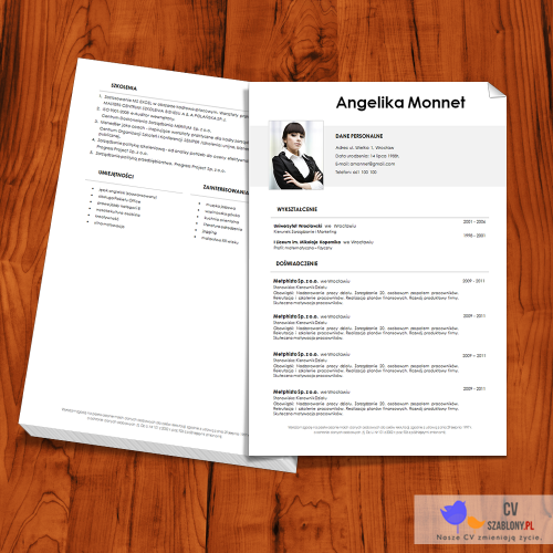 wzór cv szablon cv winter slide 500x500 Wzór CV   Winter Slide